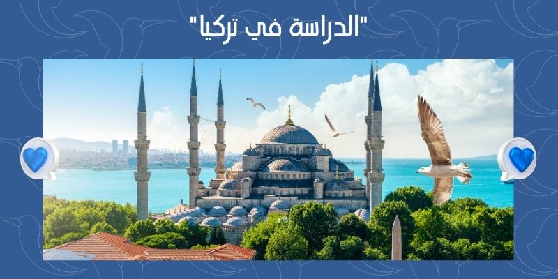 الدراسة في تركيا