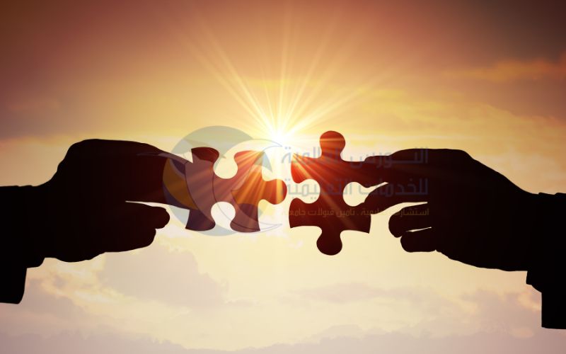 الشراكات الدولية و فرص البحث العلمي