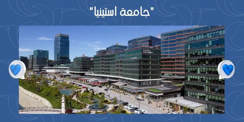 جامعة استينيا